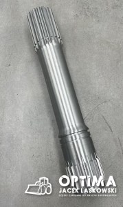 419171006C1 1